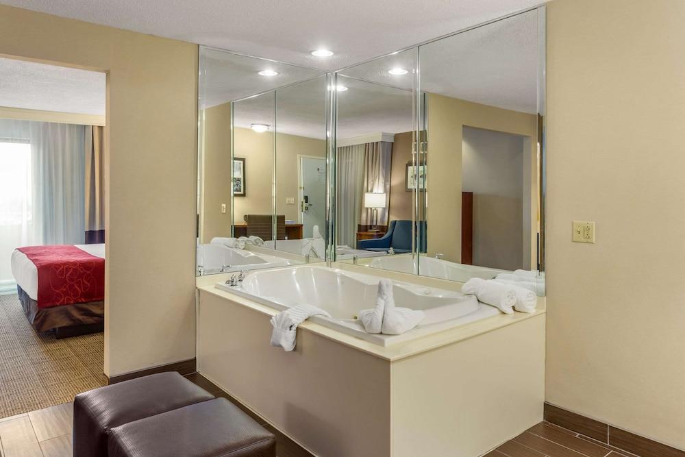 Comfort Suites Oakbrook Terrace near Oakbrook Center photo 28