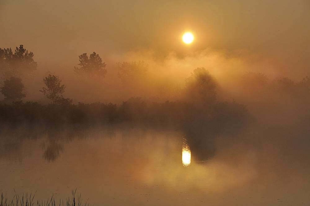 Maumee Bay Lodge and Conference Center photo 42