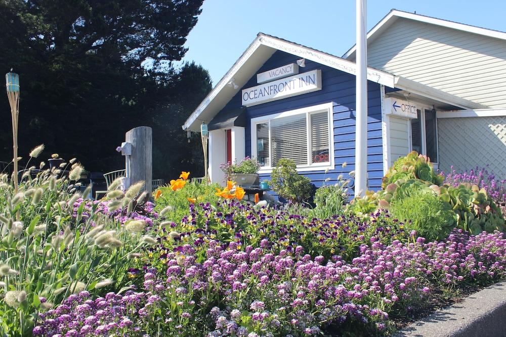Oceanfront Inn at Shelter Cove photo 33