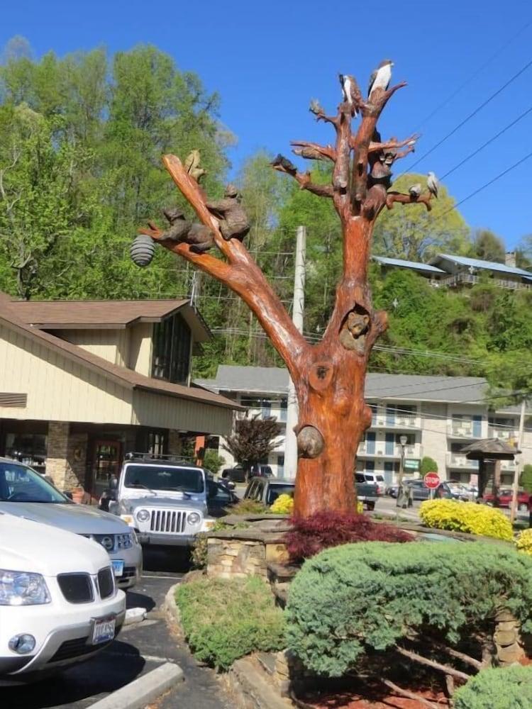 Mountain House Inn photo 50