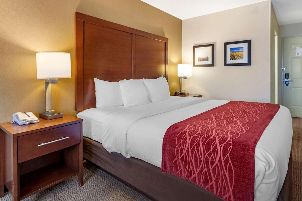 Comfort Inn Great Falls South photo 13