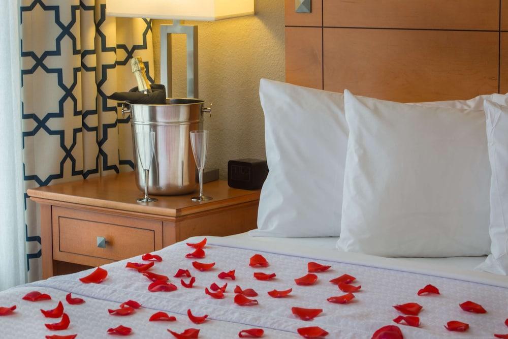 Homewood Suites by Hilton Orlando-International Drive/Convention Center photo 6