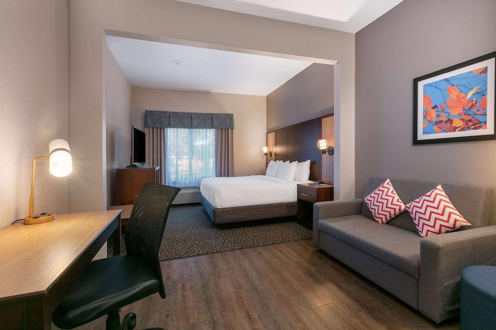 Wingate by Wyndham DFW / North Irving photo 34