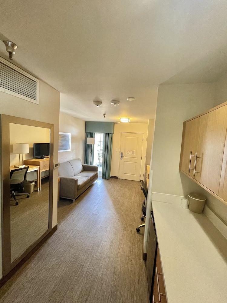Red Roof Inn PLUS+ & Suites Tampa photo 10