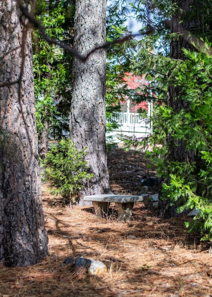 Inn at Sugar Pine Ranch photo 20