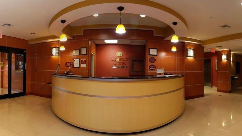 Comfort Suites photo 4