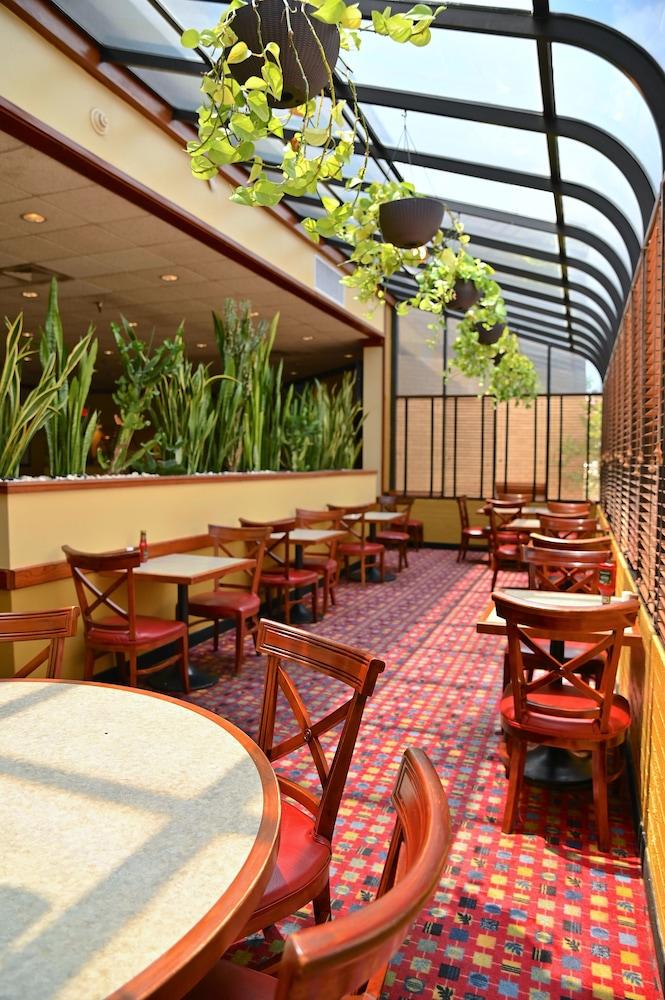 MCM Eleganté Hotel & Suites photo 40