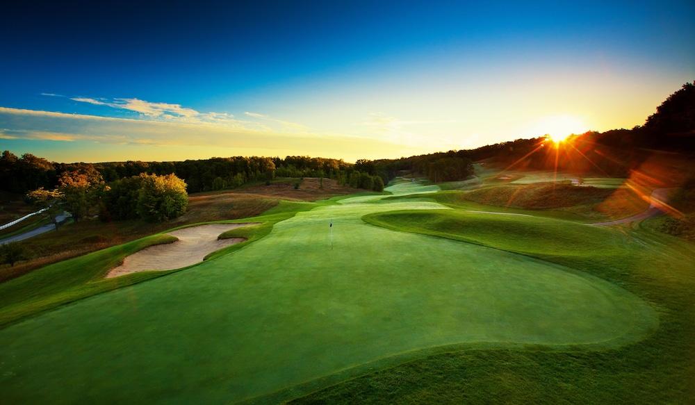 Treetops Resort photo 24