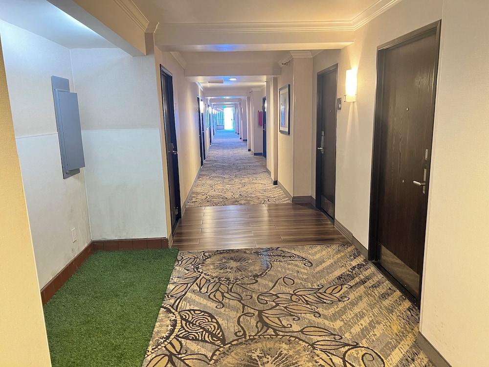 Alhambra Hotel photo 39