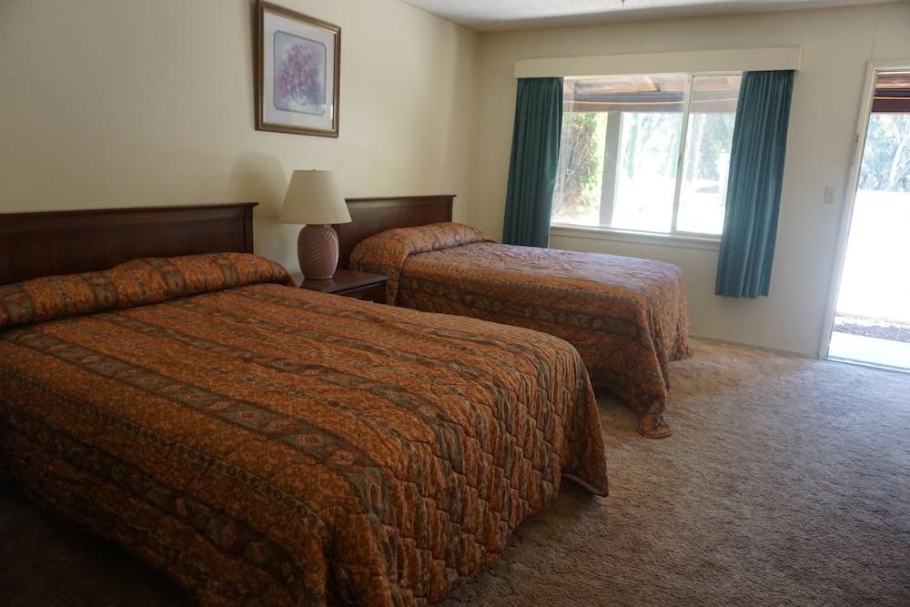 Blue Gum Motel photo 37