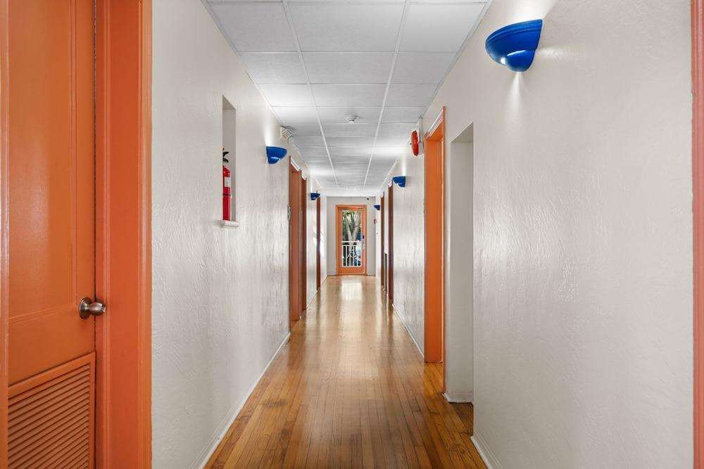 Blue Flamingo Suites photo 18