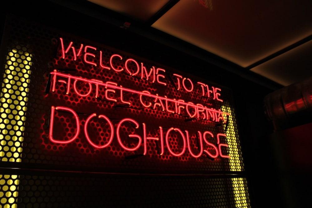 DogHouse Columbus photo 24