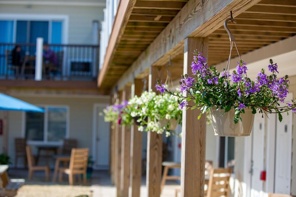 Aqualina Inn Montauk photo 78