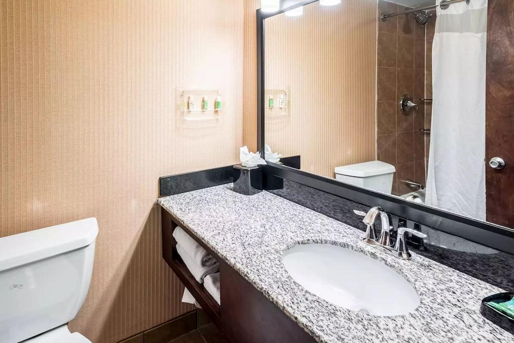 Holiday Inn Frisco by IHG photo 8