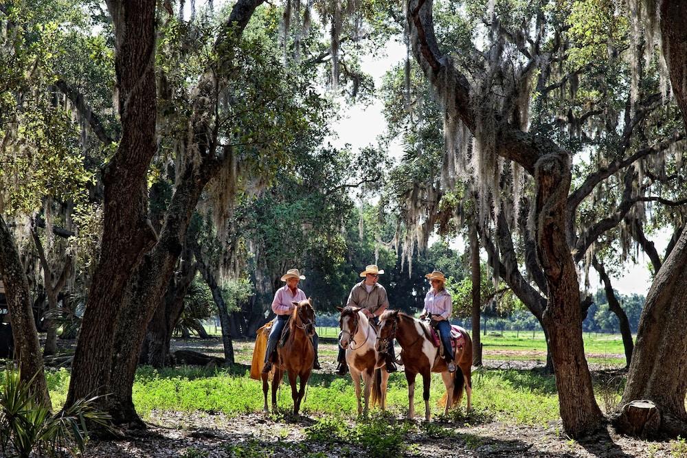 Westgate River Ranch Resort & Rodeo photo 1
