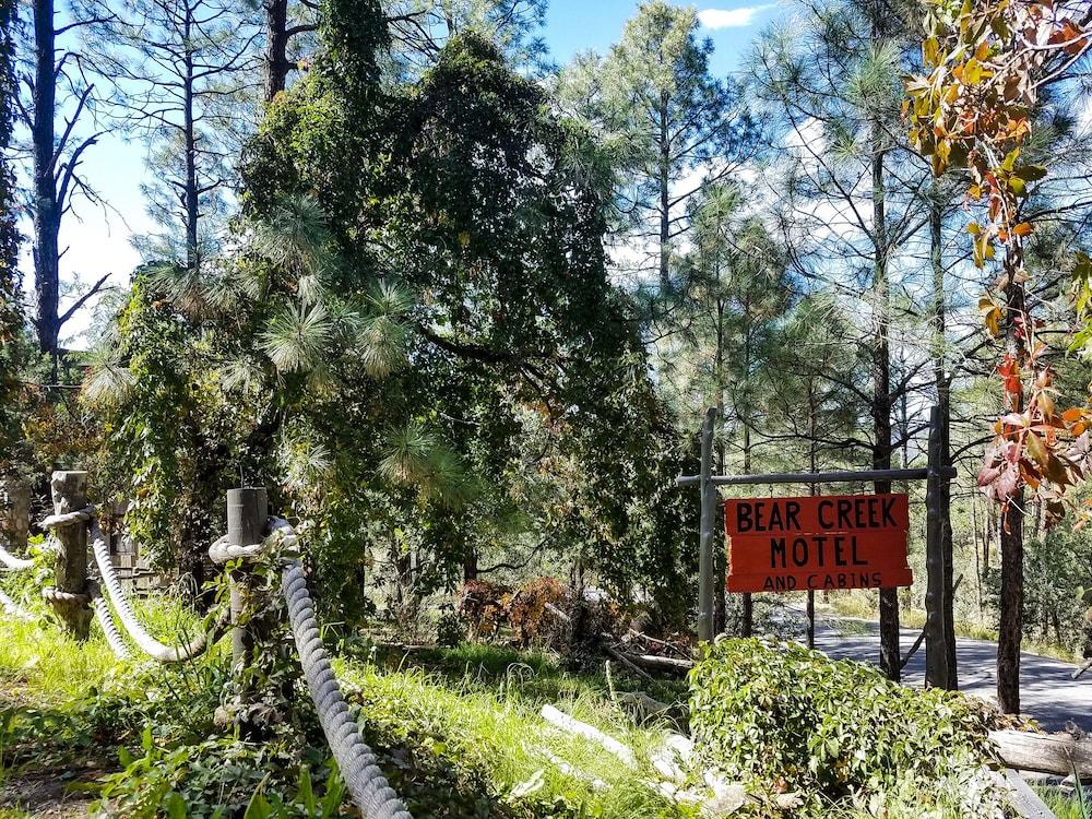 Bear Creek Motel And Cabins photo 69