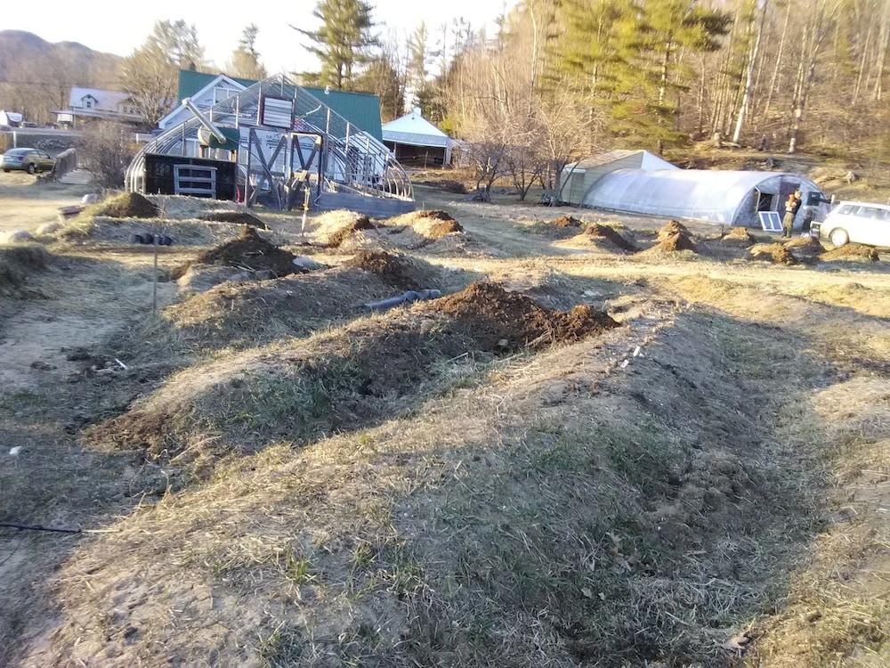 No View Farm Inn & Bakery photo 10