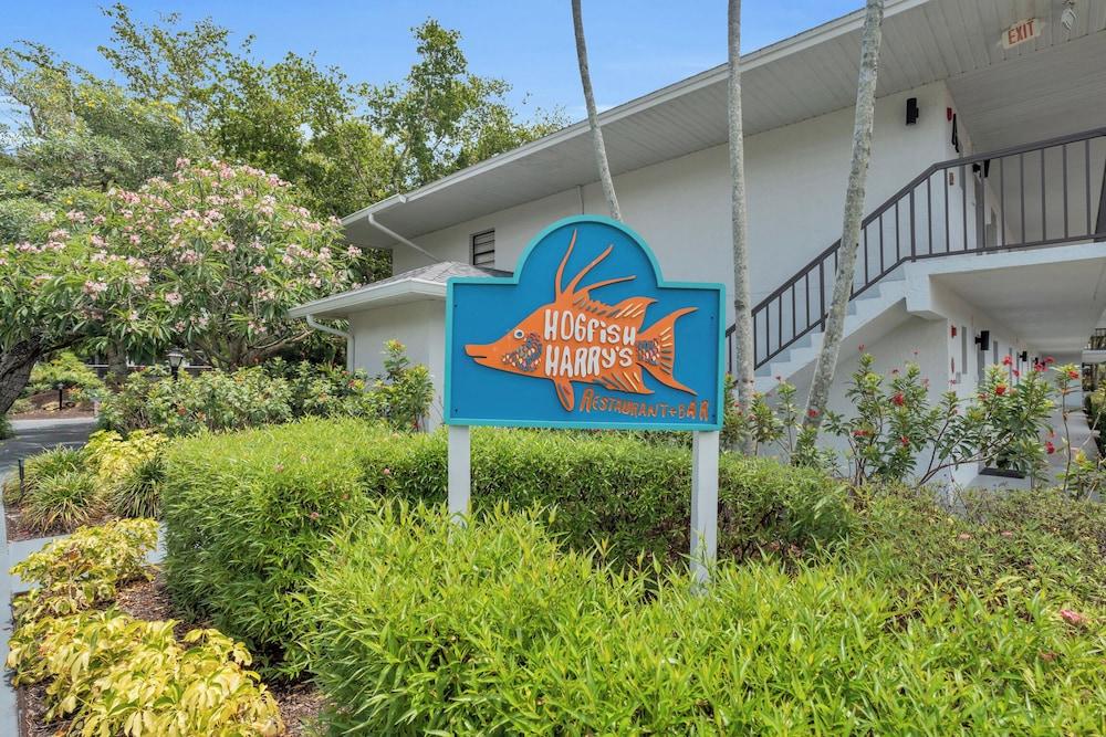 Park Shore Resort photo 53
