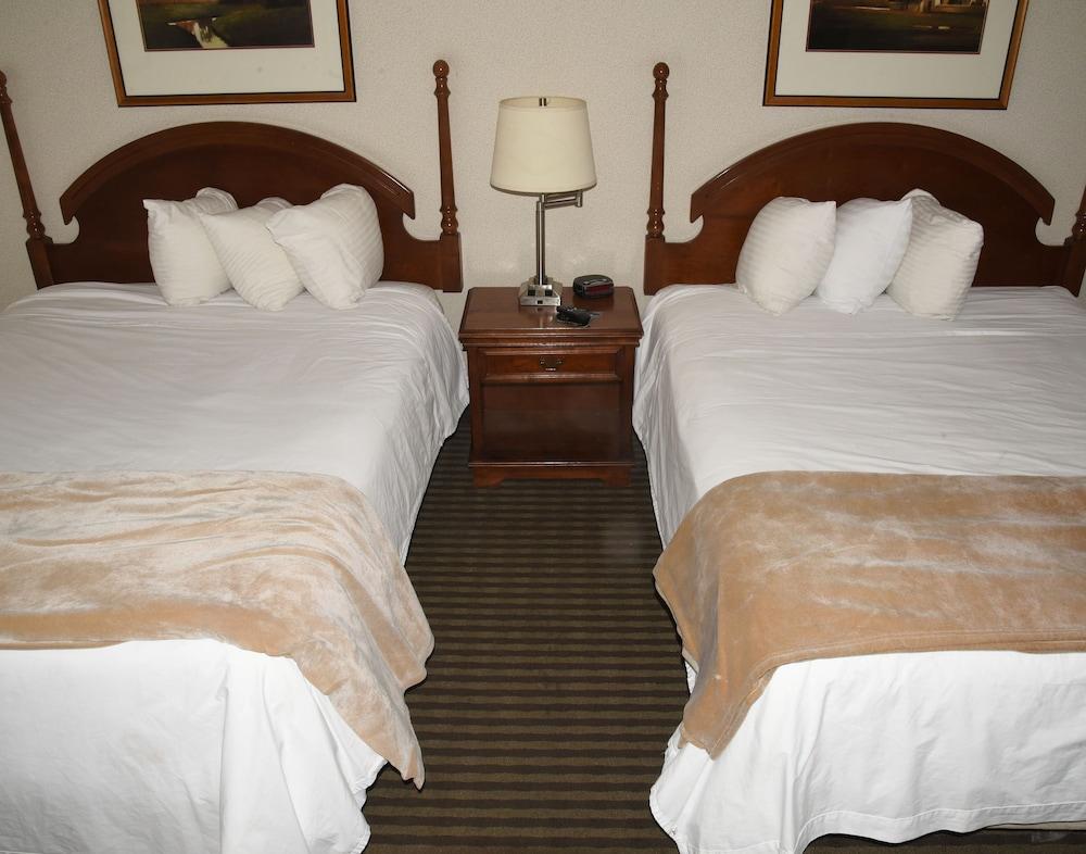 Thunderbird Motel photo 6