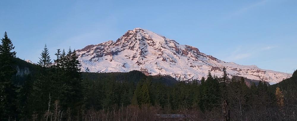 Nisqually Lodge photo 41