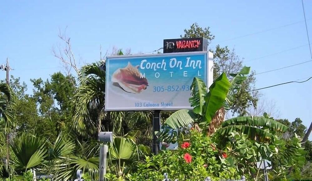 Conch On Inn Motel photo 13