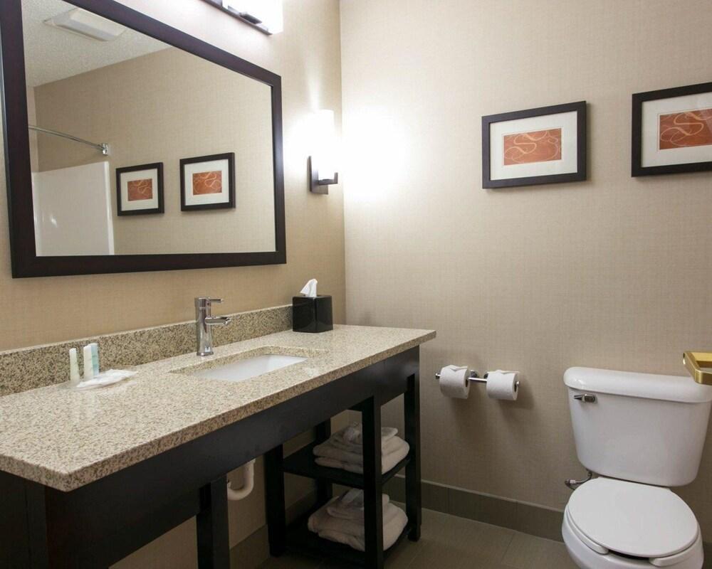 Comfort Suites Benton Harbor - St. Joseph photo 24