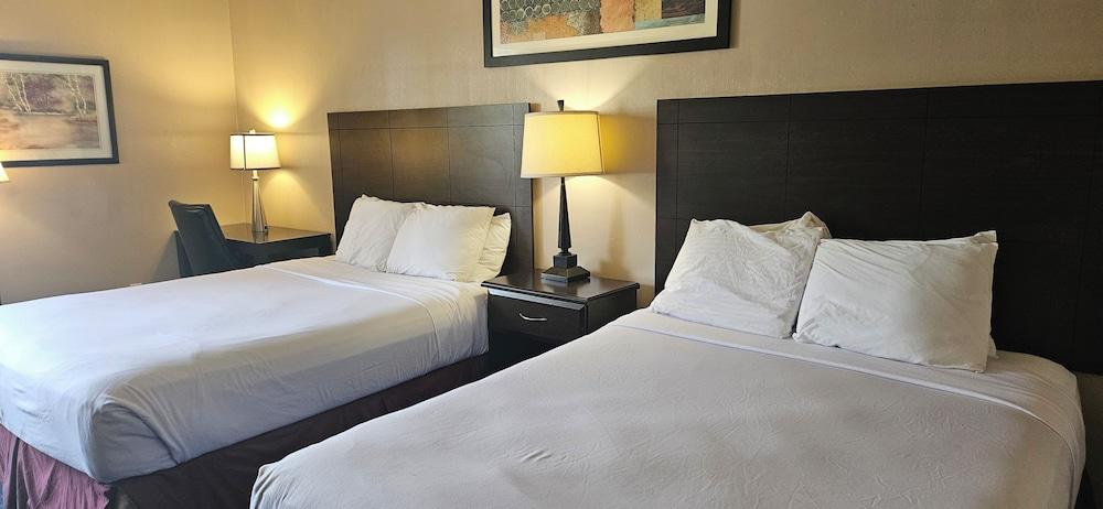 Bellis Inn photo 17