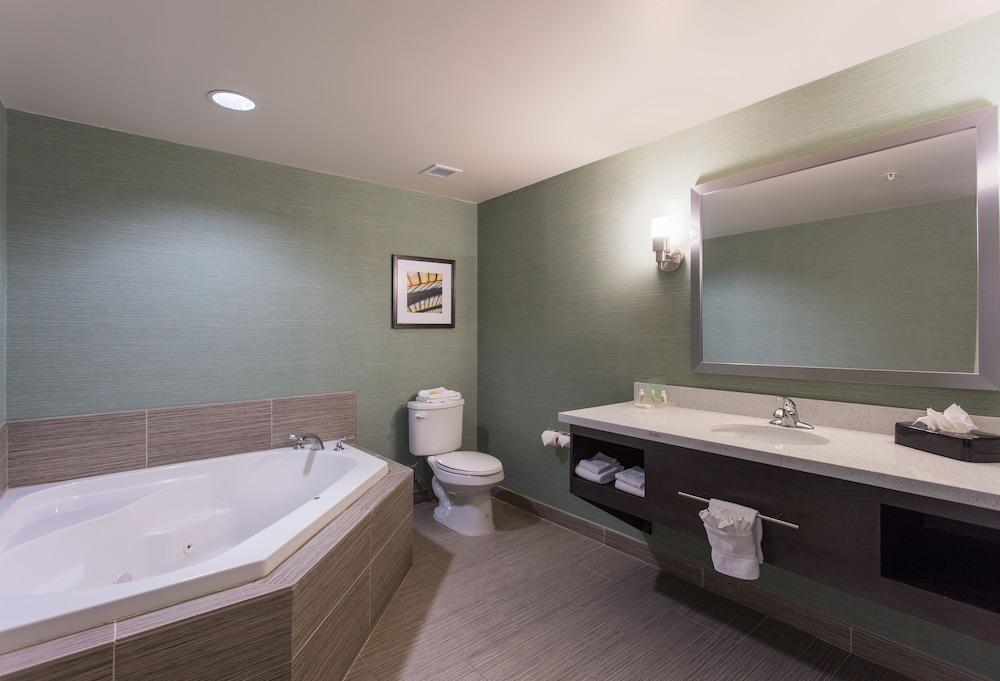 Holiday Inn Texarkana Arkansas Conv Ctr by IHG photo 23
