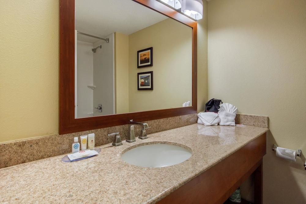 Comfort Inn & Suites SW Houston Sugarland photo 9