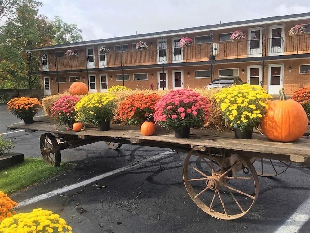 Cianci's Motel and Suites photo 2
