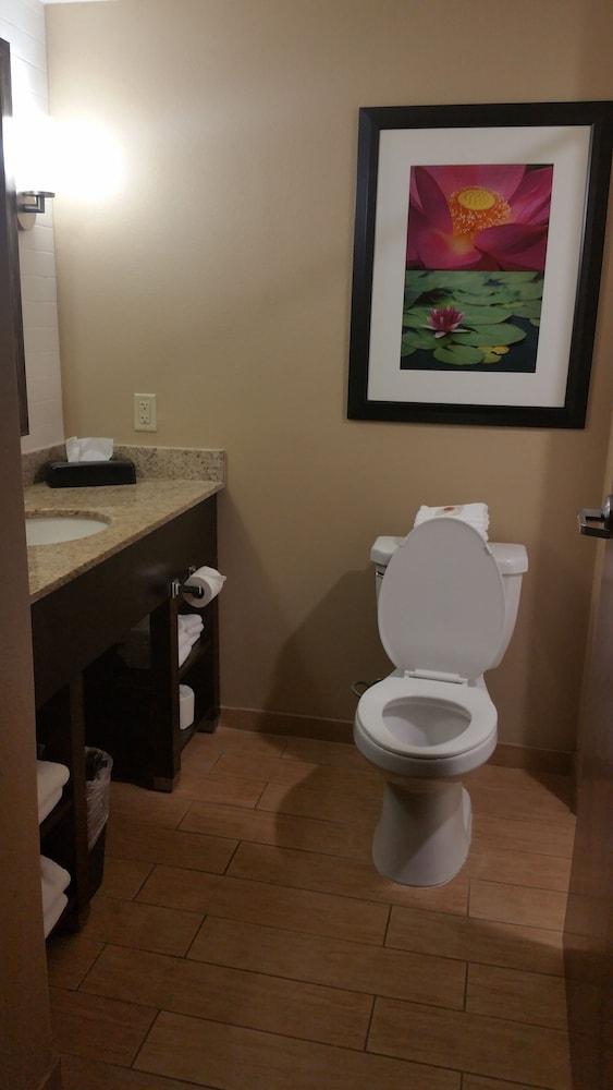 Comfort Inn & Suites San Marcos near Outlet Mall photo 18