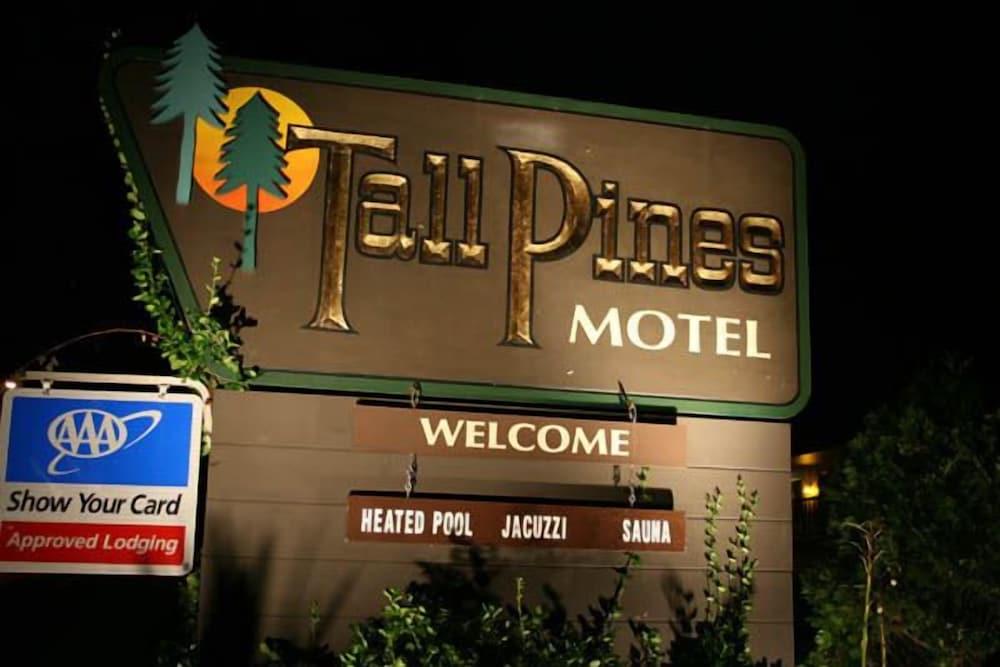 Tall Pines Motel photo 59