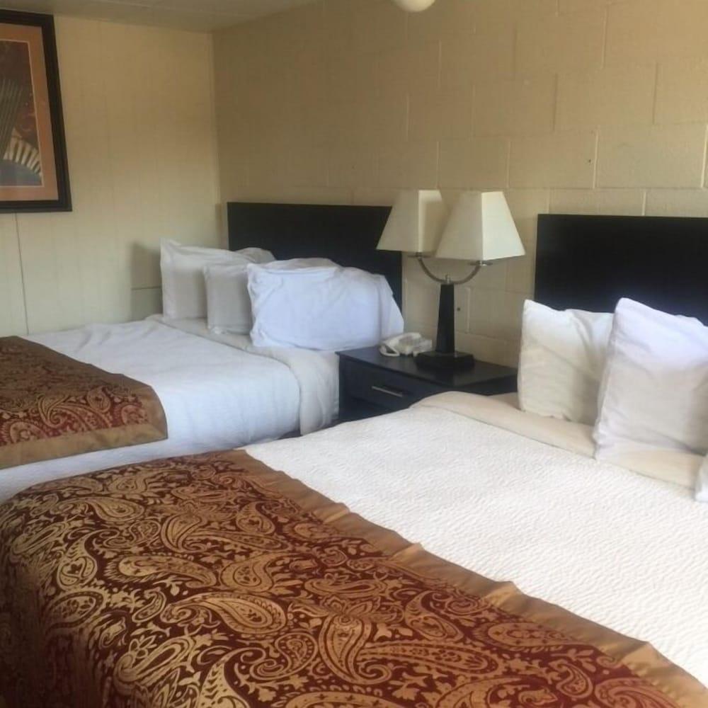 Park Motel photo 5