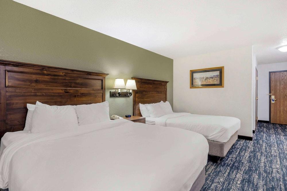 Comfort Inn & Suites Mt. Rushmore photo 7