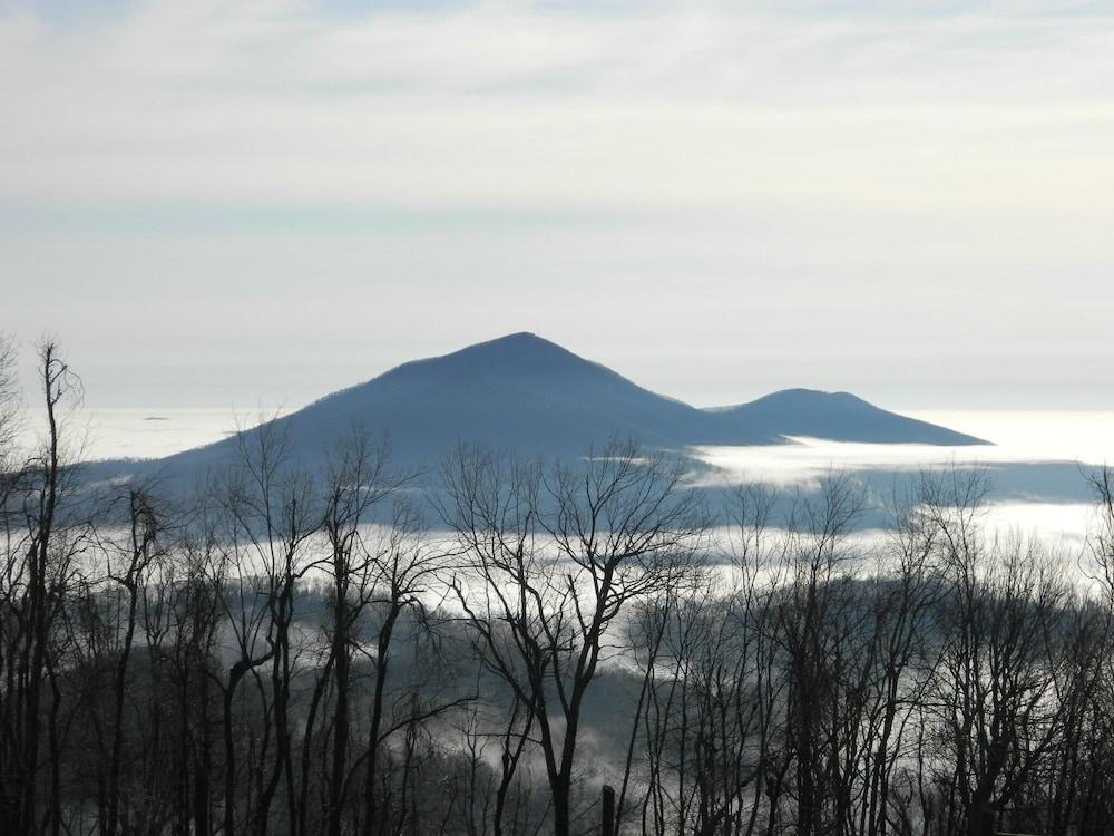 Bent Mountain Lodge photo 39