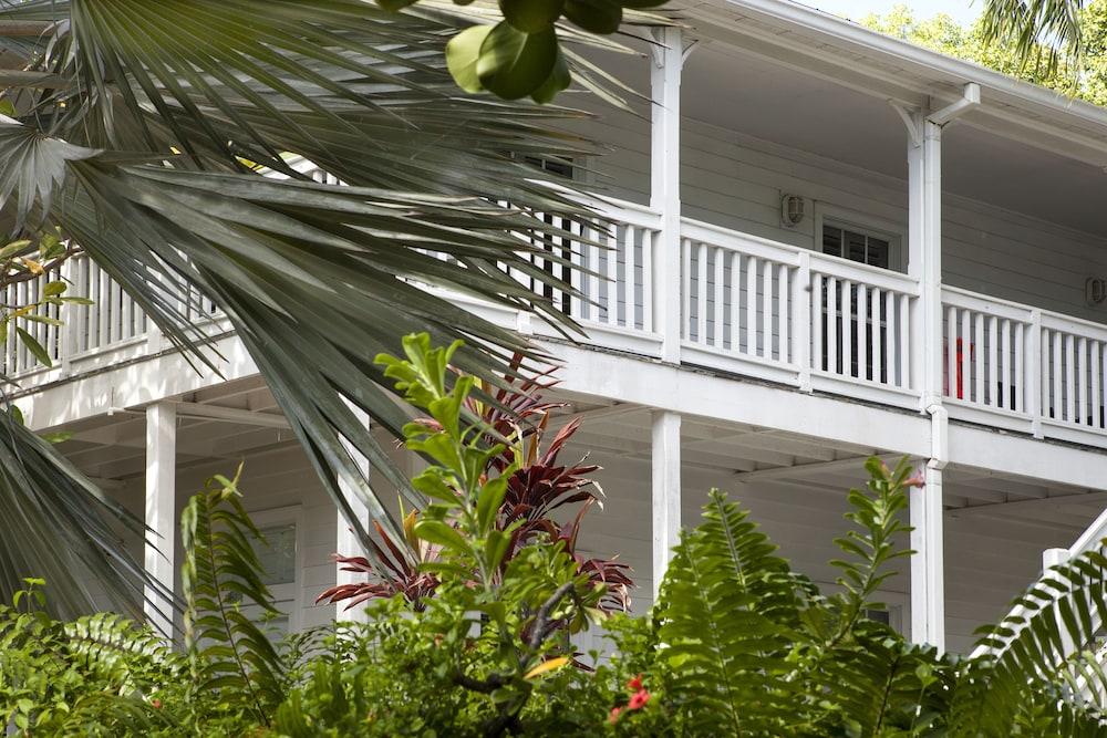 Paradise Inn Key West - Adults Only photo 67