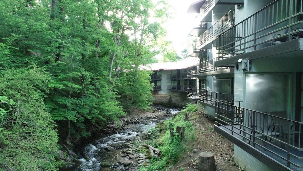 Bear Creek Inn photo 30