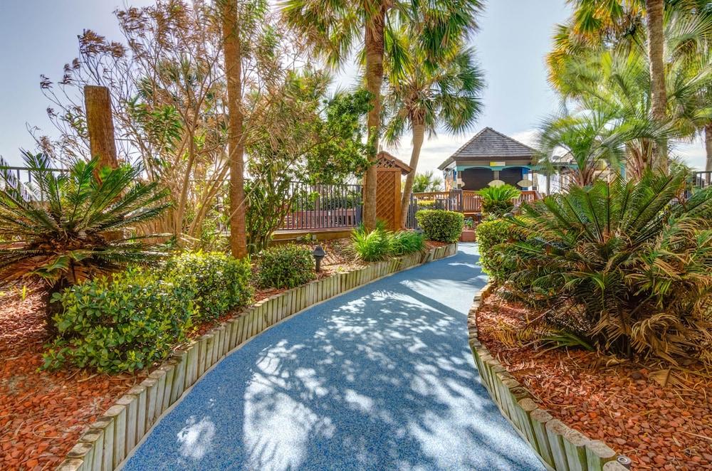 Beach Cove Resort photo 50