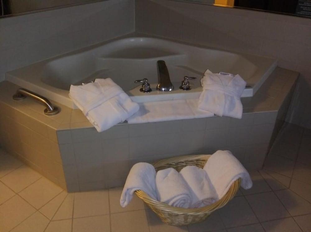Country Inn & Suites by Radisson, Dundee, MI photo 13