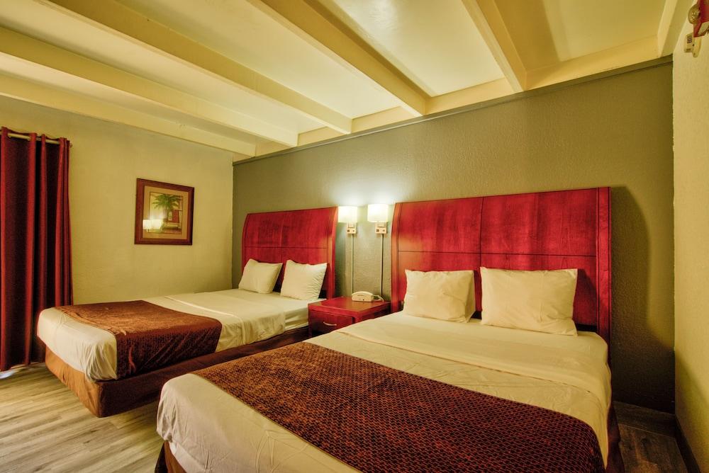Clearwater Hotel photo 65