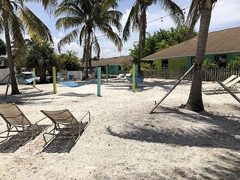 My Sarasota Getaway photo 9