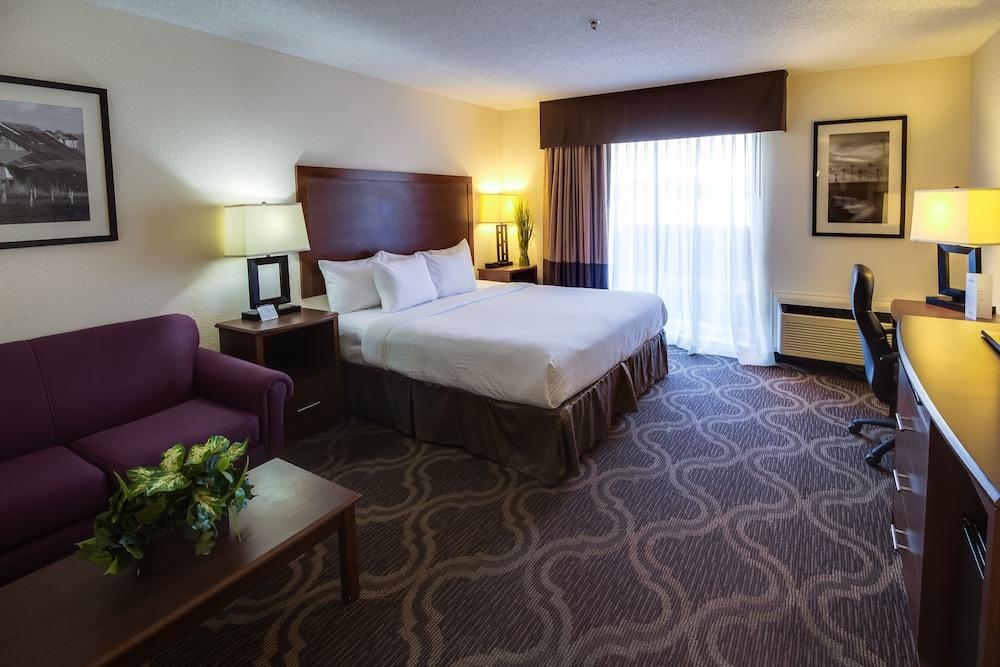 Ashmore Inn and Suites photo 17