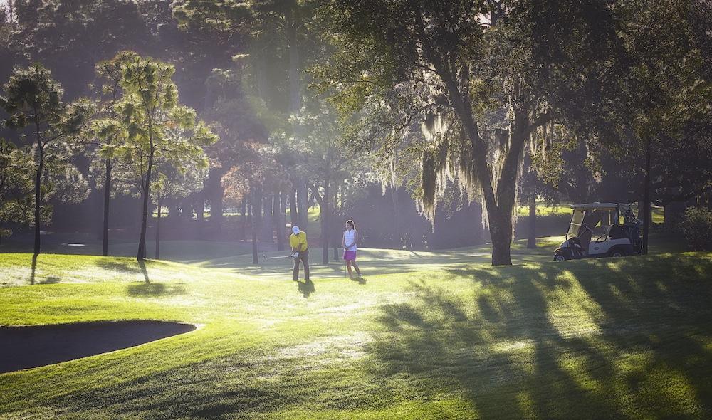Innisbrook Resort photo 56