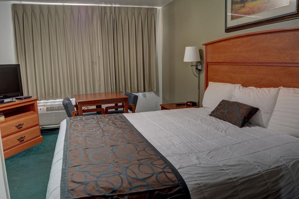 The Palms Motel photo 3
