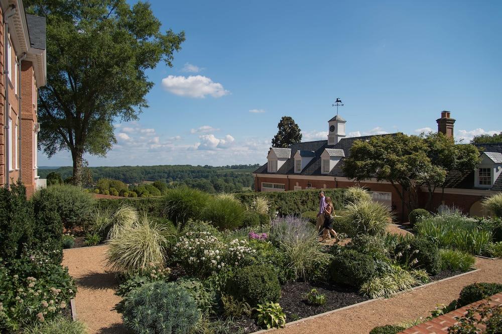 Albemarle Estate at Trump Winery photo 7