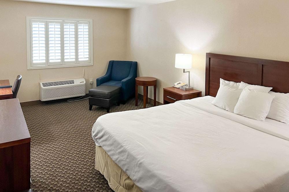 Comfort Inn & Suites Thatcher - Safford photo 4