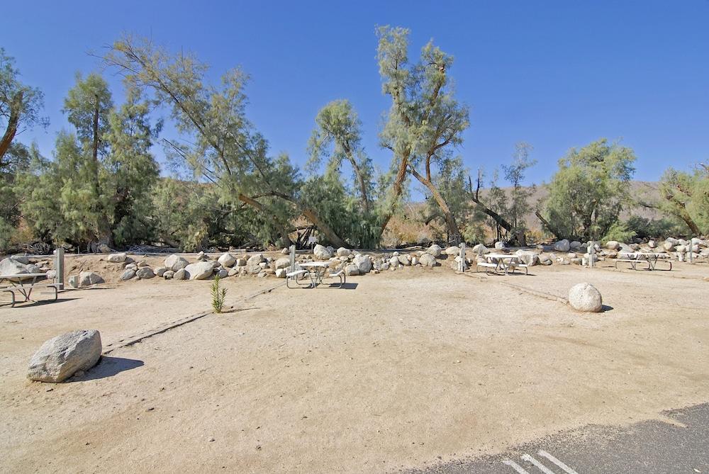 Palm Canyon Hotel & RV Resort photo 86