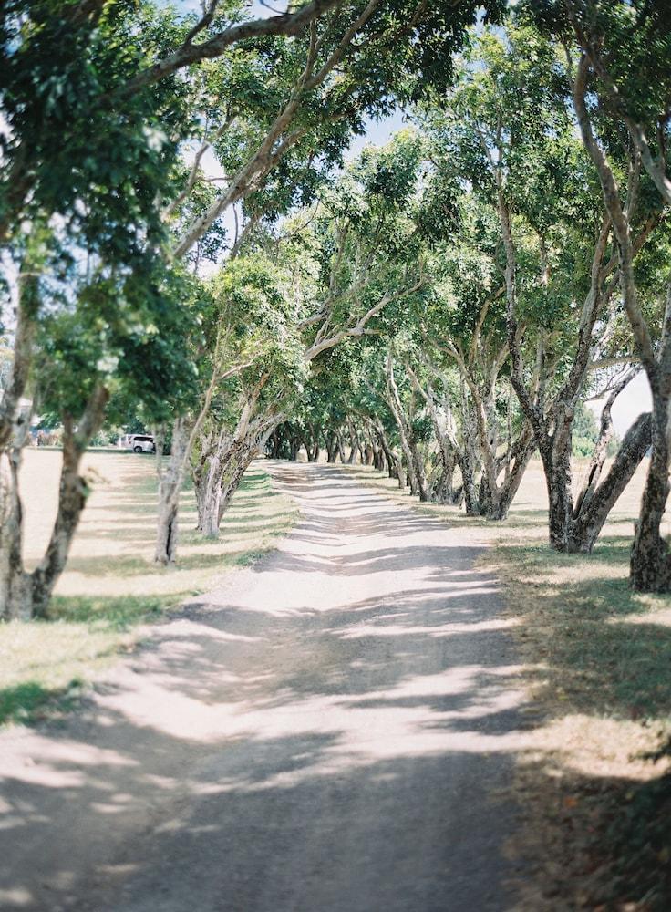 Puakea Ranch photo 51