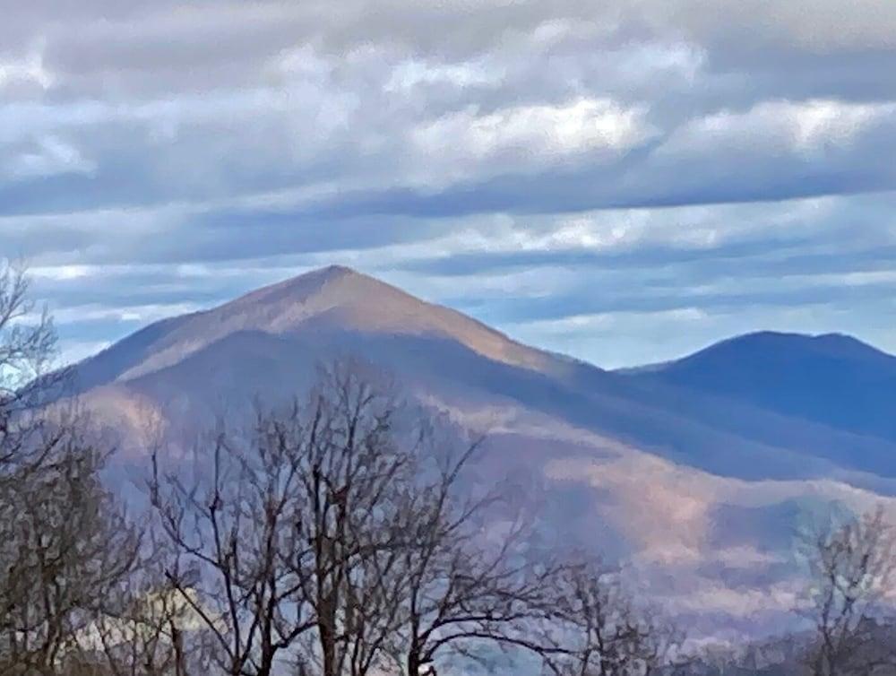 Bent Mountain Lodge photo 8