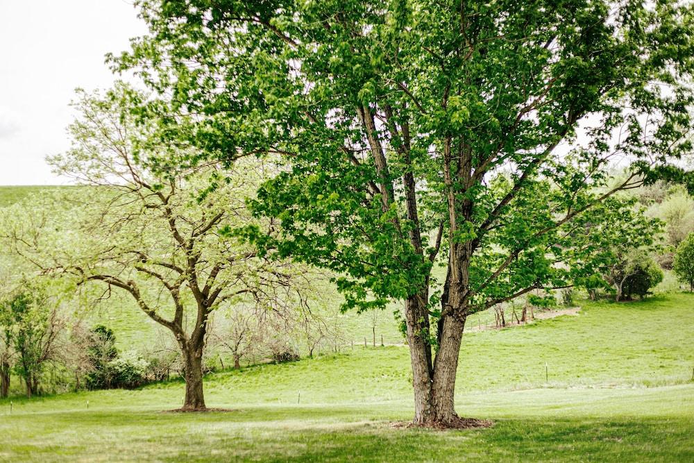 Batten Green Venue & Lodging photo 15
